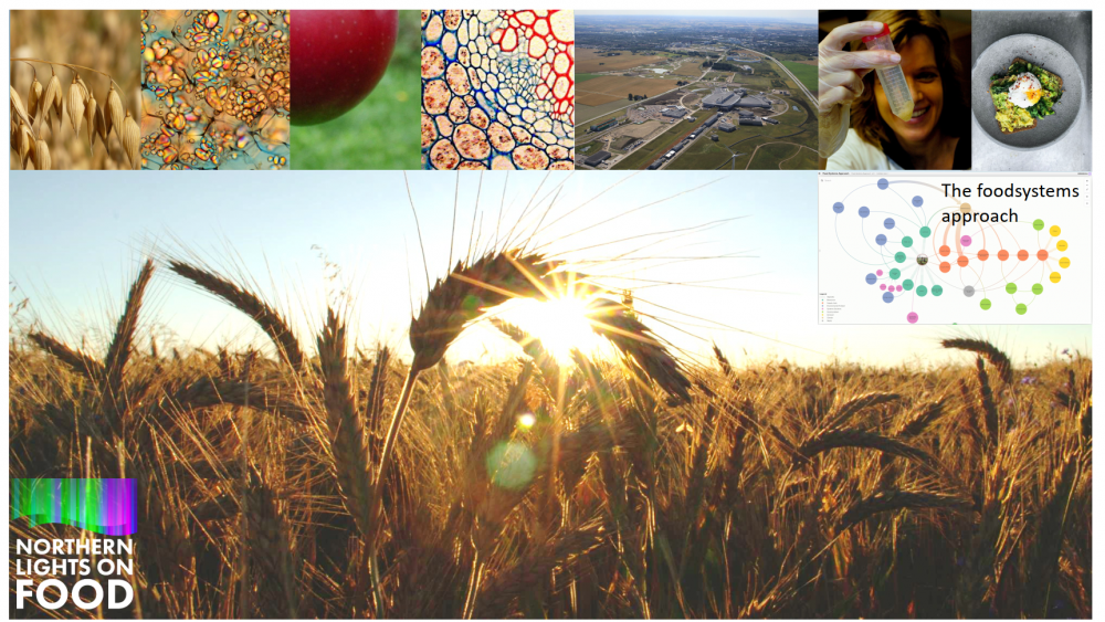 Collage of seeds on a fiels and food.